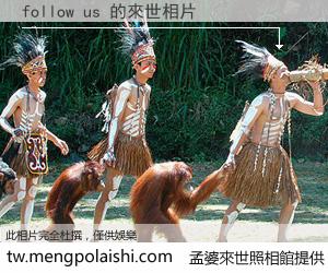 follow us 來世的未來相片