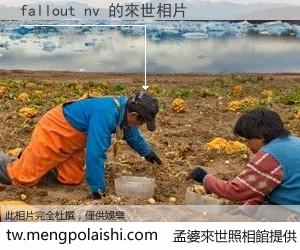 fallout nv 來世的未來相片