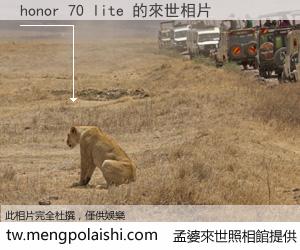 honor 70 lite 來世的未來相片