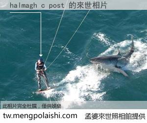 halmagh c post 來世的未來相片