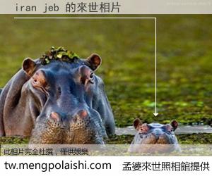 iran jeb 來世的未來相片