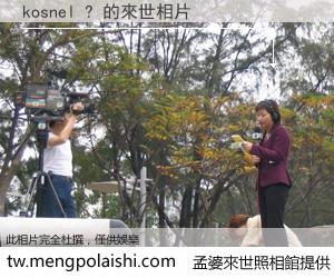 kosnel ? 來世的未來相片