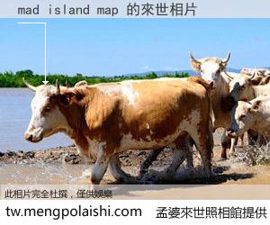 mad island map 來世的未來相片