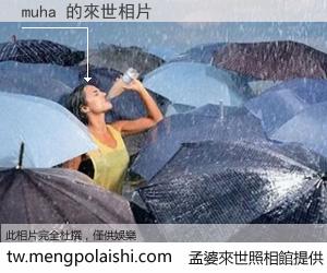 muha 來世的未來相片