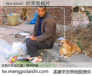 muresan 來世的未來相片