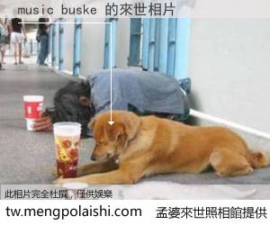 music buske 來世的未來相片