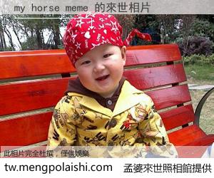 my horse meme 來世的未來相片