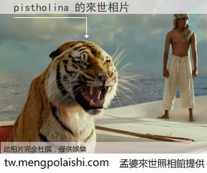 pistholina 來世的未來相片