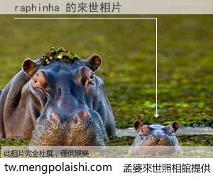 raphinha 來世的未來相片