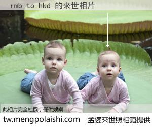 rmb to hkd 來世的未來相片