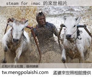 steam for imac 來世的未來相片