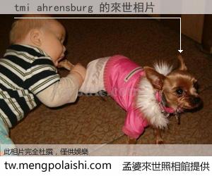 tmi ahrensburg 來世的未來相片