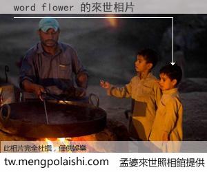 word flower 來世的未來相片