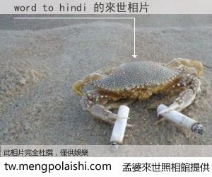 word to hindi 來世的未來相片