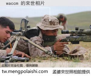 waccm 來世的未來相片