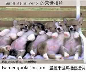 warm as a verb 來世的未來相片