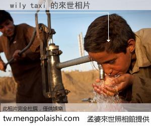 wily taxi 來世的未來相片