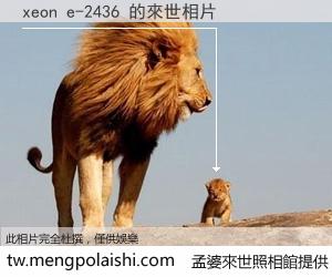 xeon e-2436 來世的未來相片