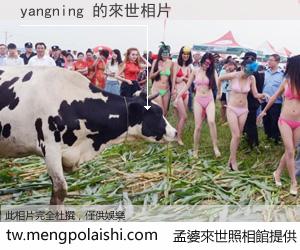 yangning 來世的未來相片