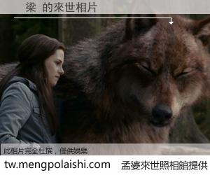 　梁 來世的未來相片