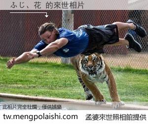 ふじ、花 來世的未來相片