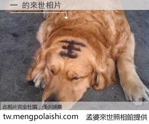 一 來世的未來相片