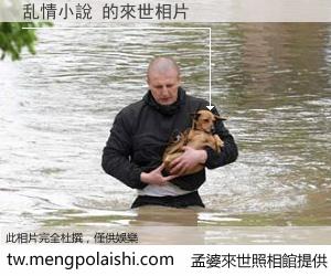 乱情小說 來世的未來相片