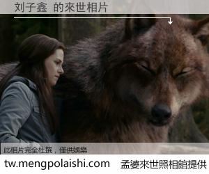 刘子鑫 來世的未來相片