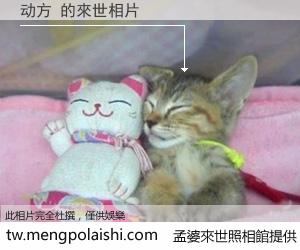 动方 來世的未來相片