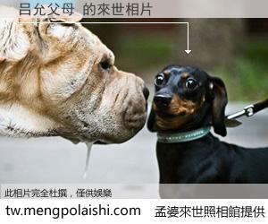 吕允父母 來世的未來相片