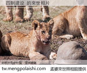 四制建设 來世的未來相片