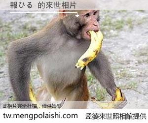 報ひる 來世的未來相片