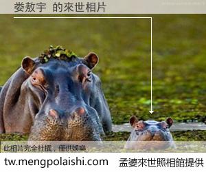 娄敖宇 來世的未來相片