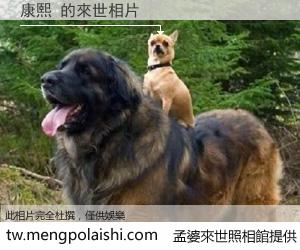 康熙 來世的未來相片