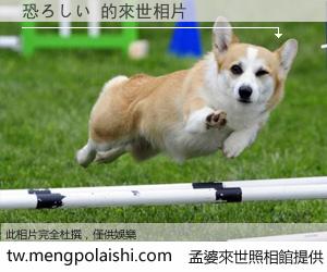 恐ろしい 來世的未來相片