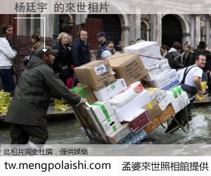 杨廷宇 來世的未來相片