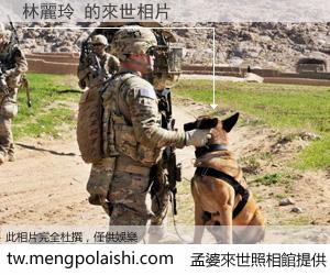 林麗玲 來世的未來相片