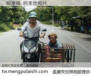 柳寒楓 來世的未來相片