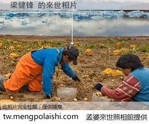 梁健锋 來世的未來相片
