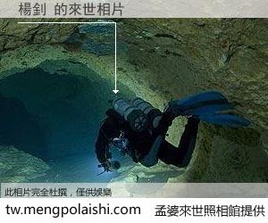 楊釗 來世的未來相片