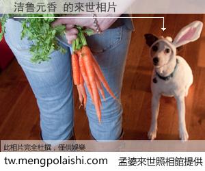 洁鲁元香 來世的未來相片