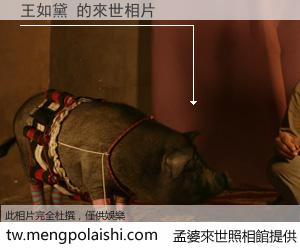 王如黛 來世的未來相片