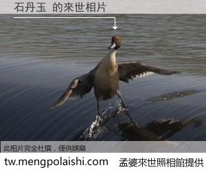 石丹玉 來世的未來相片