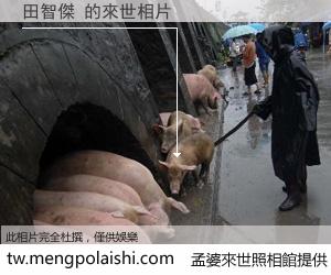 田智傑 來世的未來相片