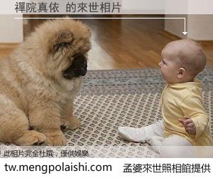 禪院真依 來世的未來相片