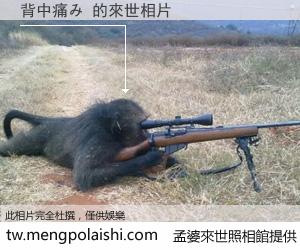 背中痛み 來世的未來相片