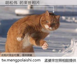 胡松伟 來世的未來相片