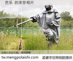 芭乐 來世的未來相片