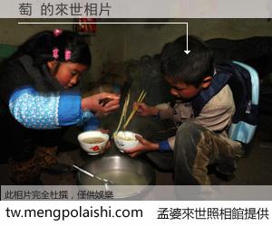 萄 來世的未來相片