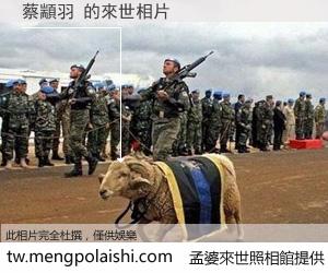 蔡顓羽 來世的未來相片